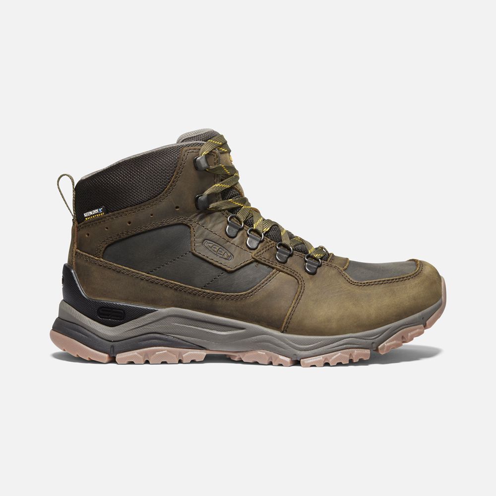 Bottes de Randonnée Keen Homme Vert Olive | Innate Cuir Waterproof | TFVGP-5908